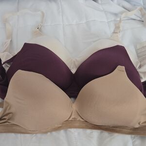 Warner's Beige and Purple Bras
